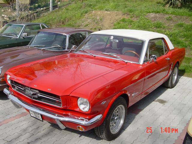 Mustang